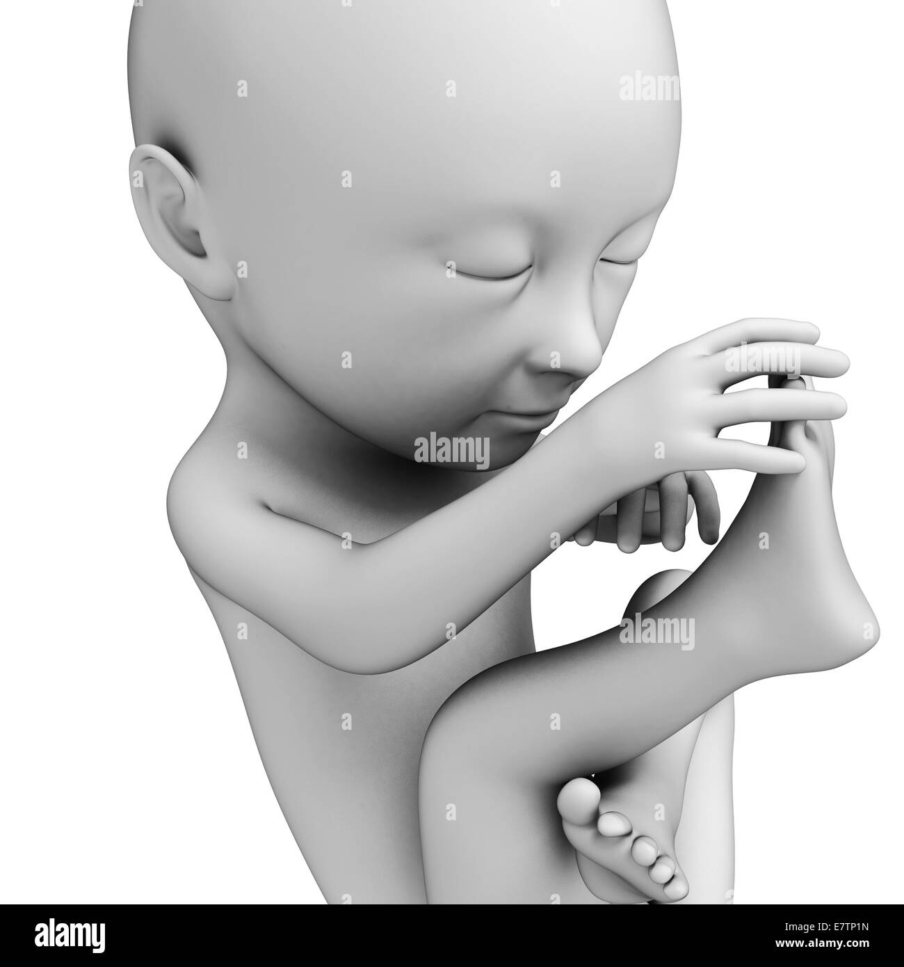 Human fetus closeup face hi-res stock photography and images - Alamy