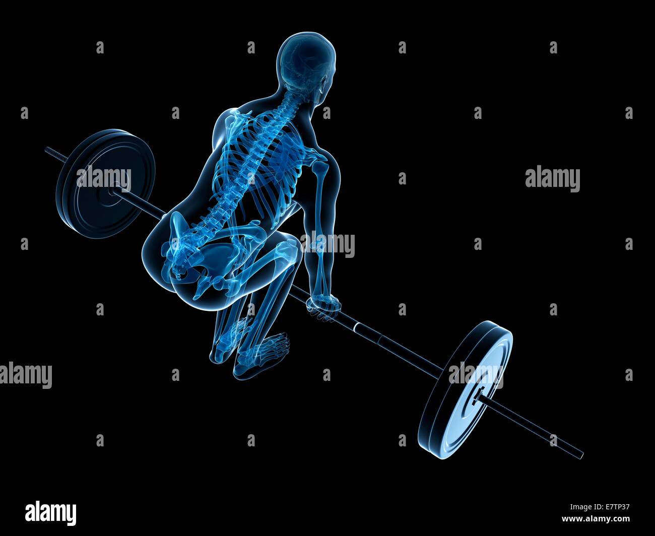 Correct posture during weight training, computer artwork Stock Photo ...