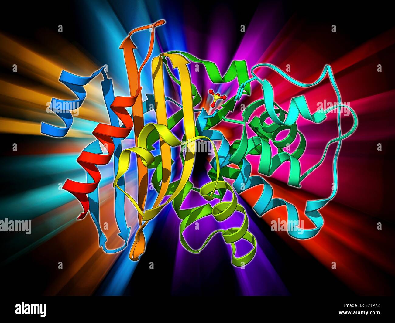 Betalactamase enzyme, molecular model. This bacterial protein provides