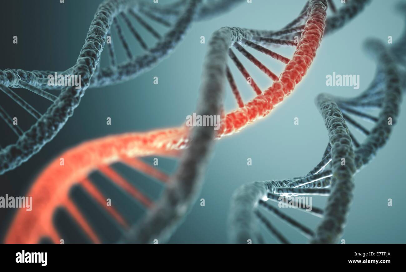 Double helix dna hi-res stock photography and images - Alamy