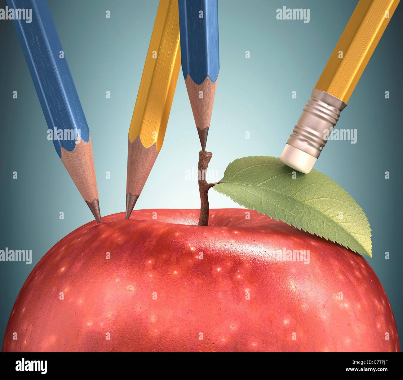 Red apple with pencils sticking into it, computer artwork. Stock Photo