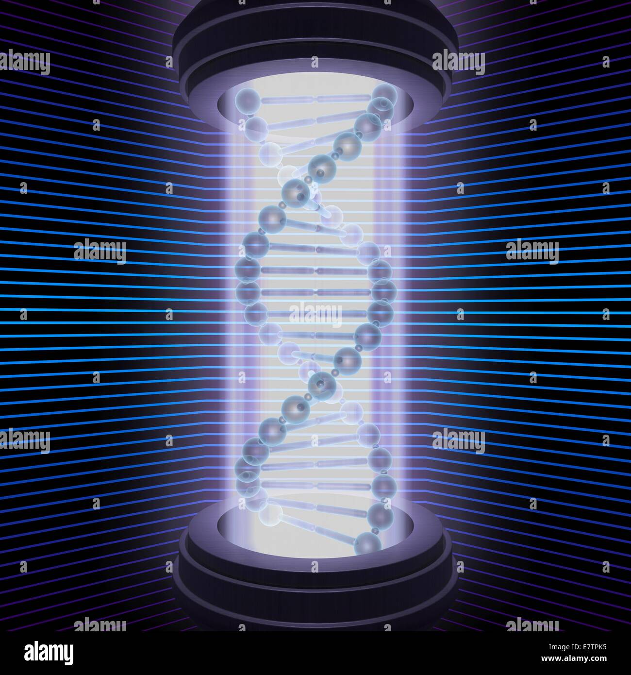 DNA (deoxyribonucleic acid) double helix, computer artwork. Stock Photo