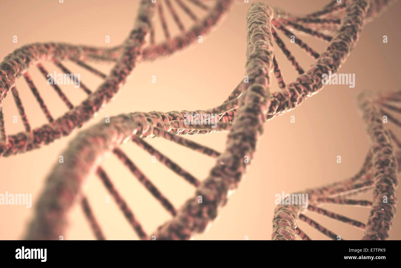 DNA (deoxyribonucleic acid) double helix, computer artwork. Stock Photo