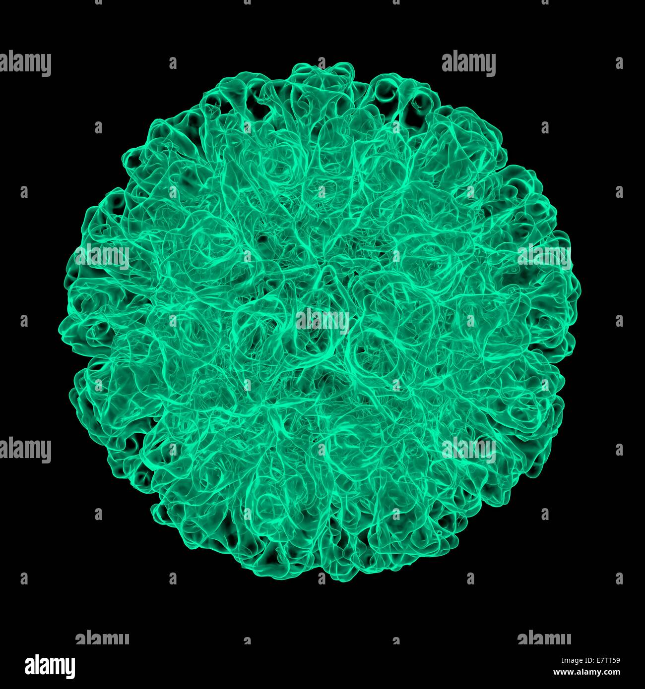 calicivirus, computer artwork Stock Photo - Alamy