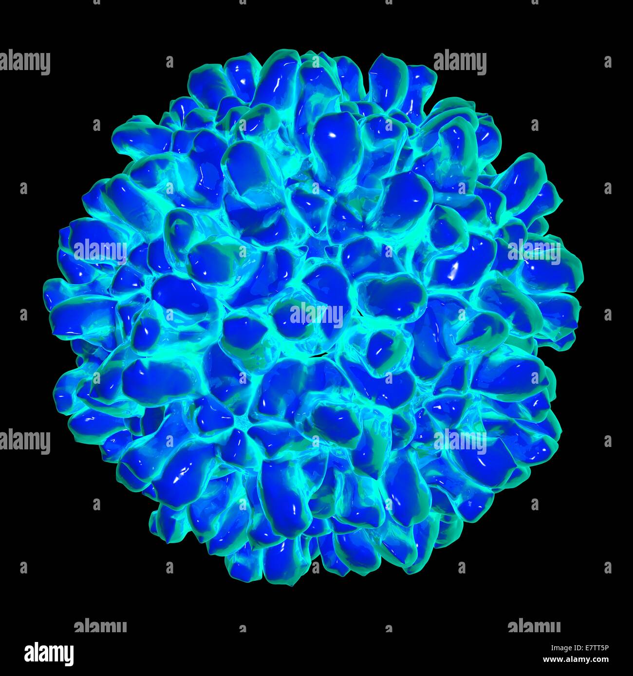 Carnation mottle virus computer artwork stock photo alamy