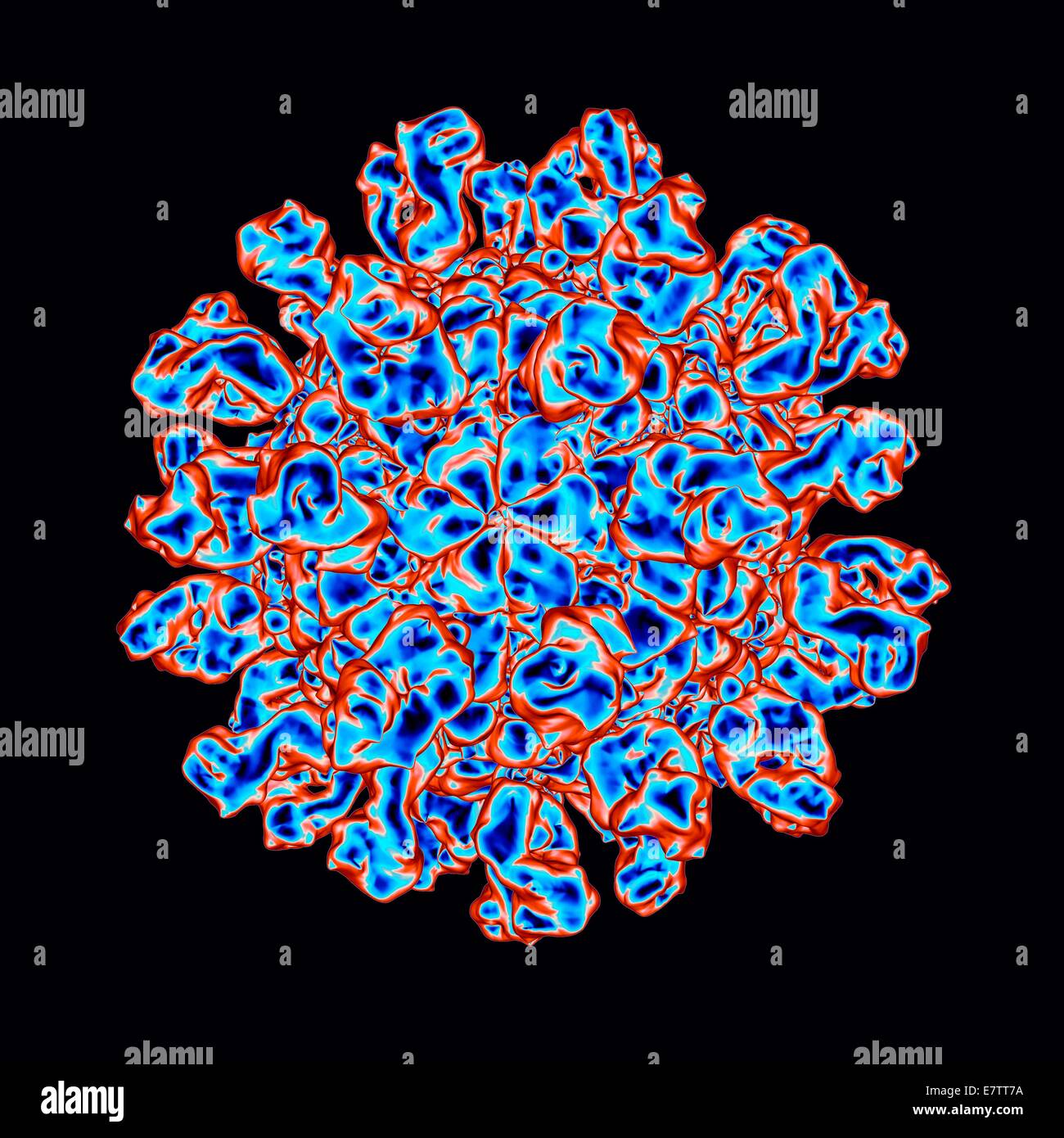 Foot and mouth disease virus, computer artwork Stock Photo Alamy