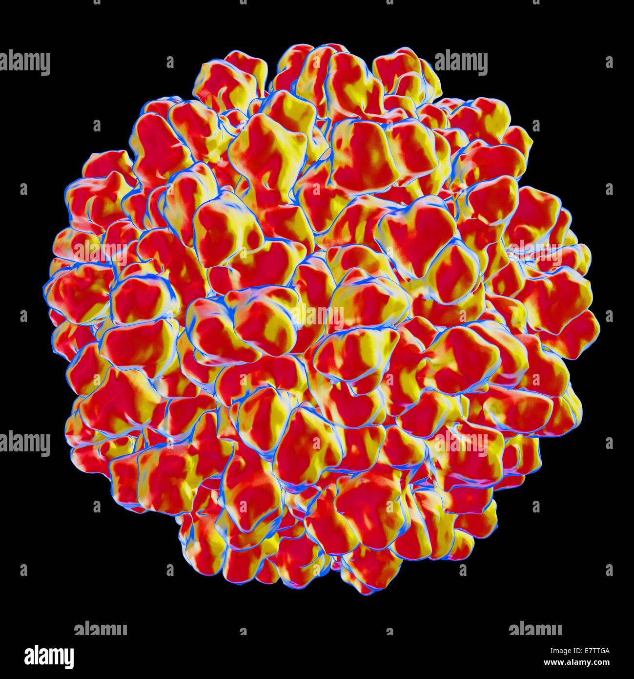 Melon necrotic spot virus, computer artwork Stock Photo Alamy