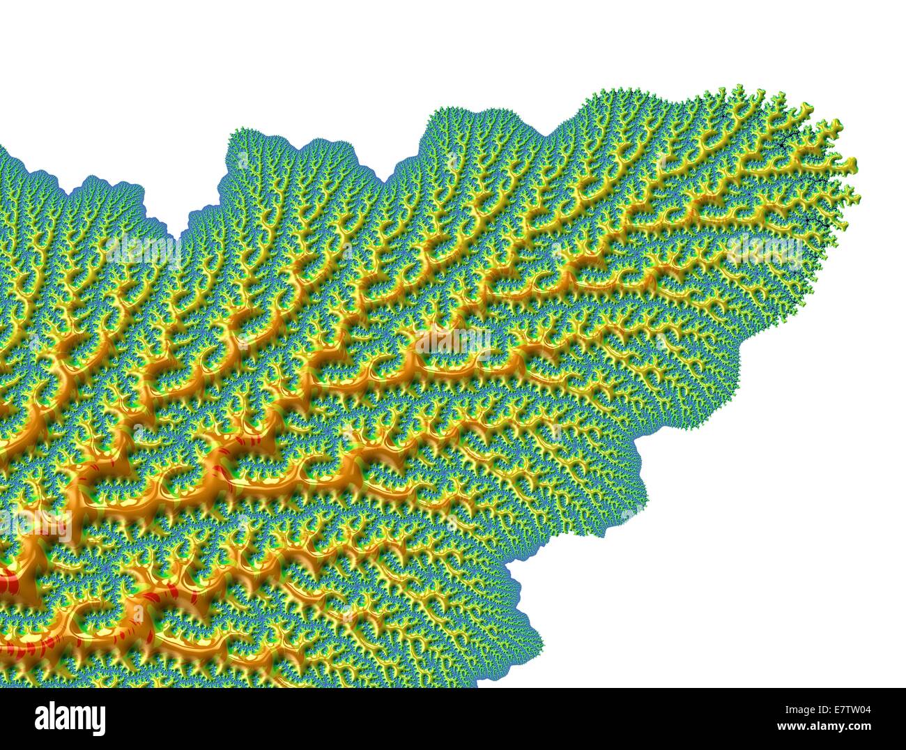 Mandelbrot fractal. Computer graphic showing a fractal image derived from the Mandelbrot Set. Fractals geometry is used to derive complex shapes as often occur in nature. The Mandelbrot Set, named after the mathematician Benoit B. Mandelbrot, is a group o Stock Photo