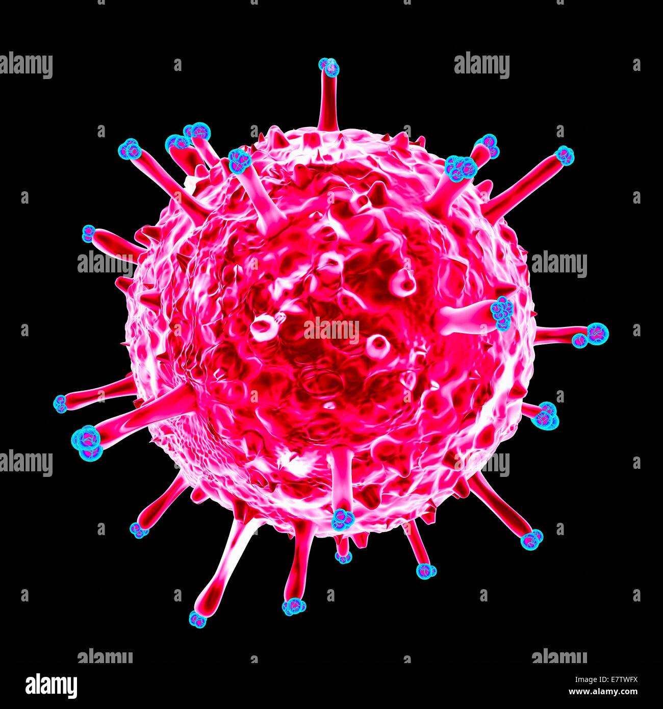 Swine influenza virus, computer artwork. Stock Photo