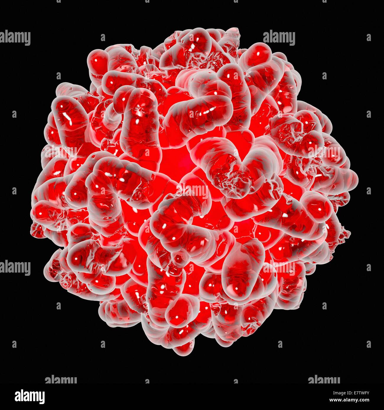Yellow fever virus, computer artwork Stock Photo - Alamy