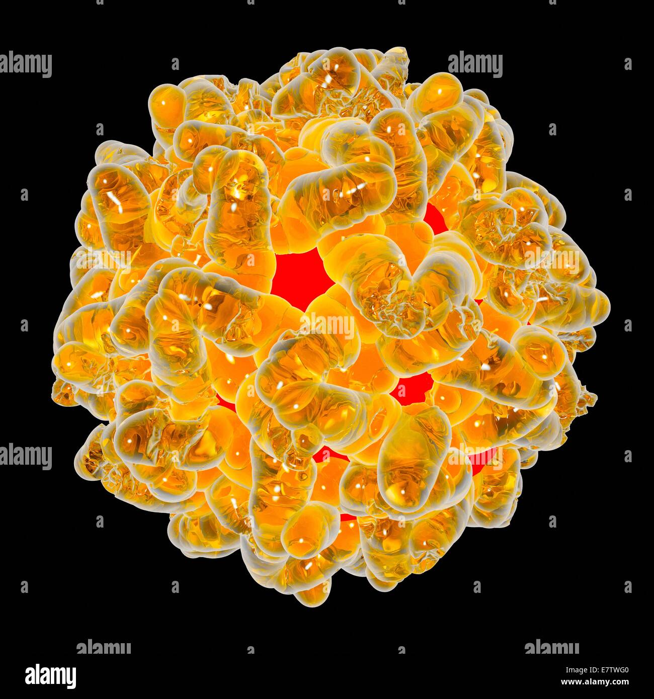 Of yellow fever hi-res stock photography and images - Alamy, image size:1300x1390