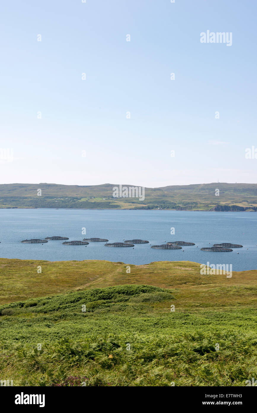 Fish farming or salmon farming  enclosures in a loch on the Isle of Skye Scotland UK Stock Photo