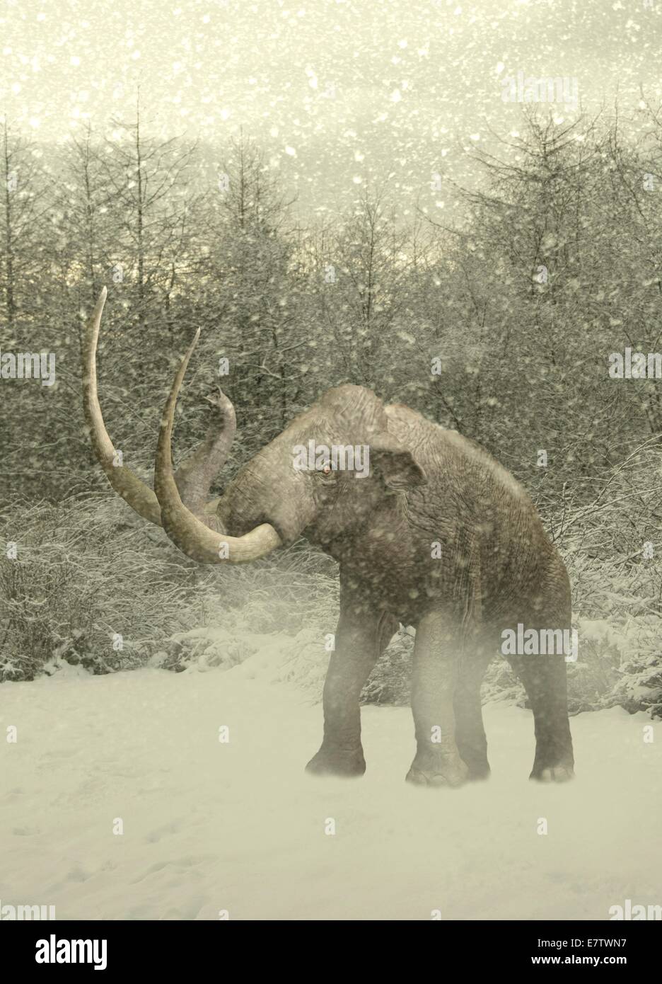 Mammoth in ice hires stock photography and images Alamy