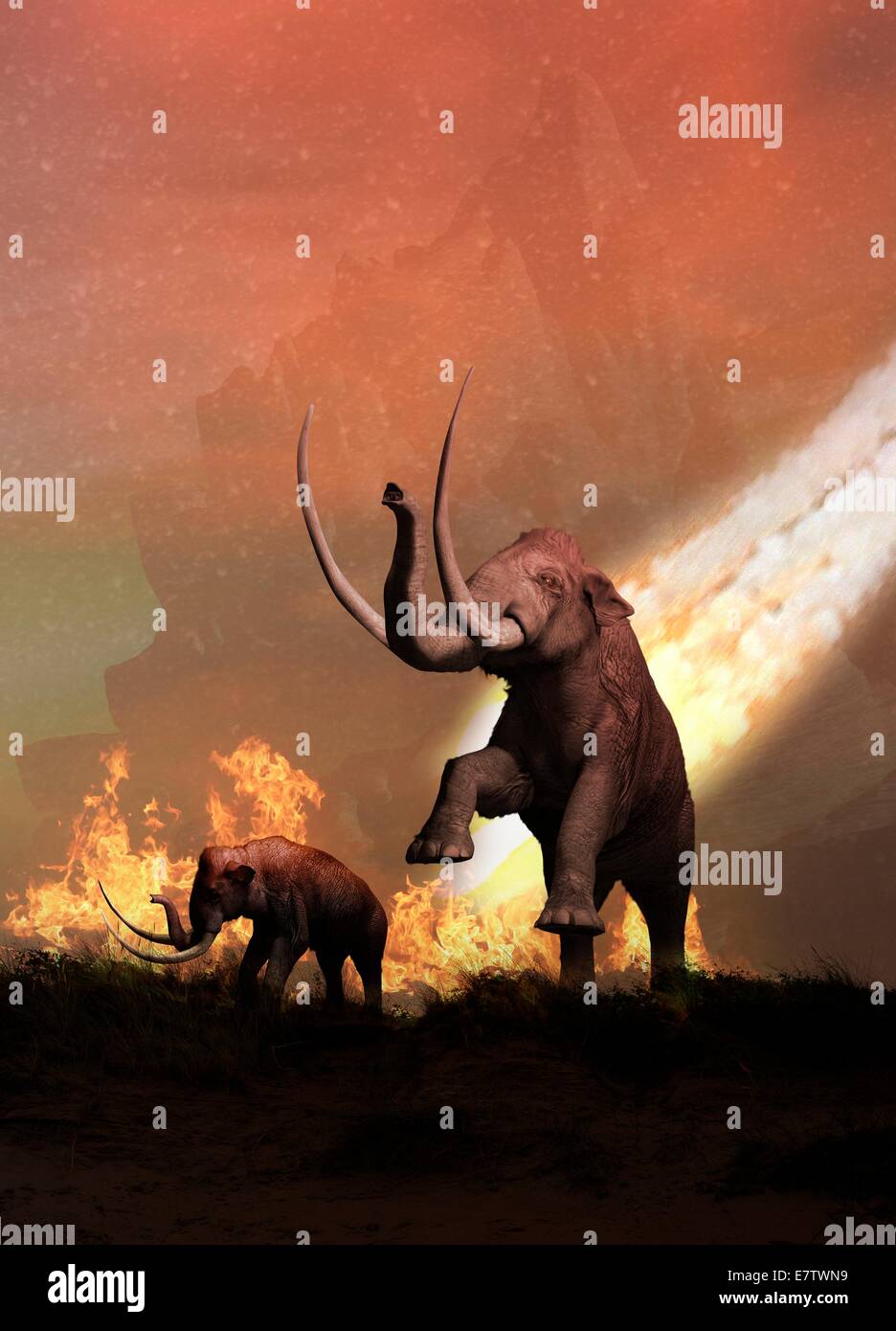 Woolly mammoths under threat by meteor hitting the earth, computer artwork. Stock Photo