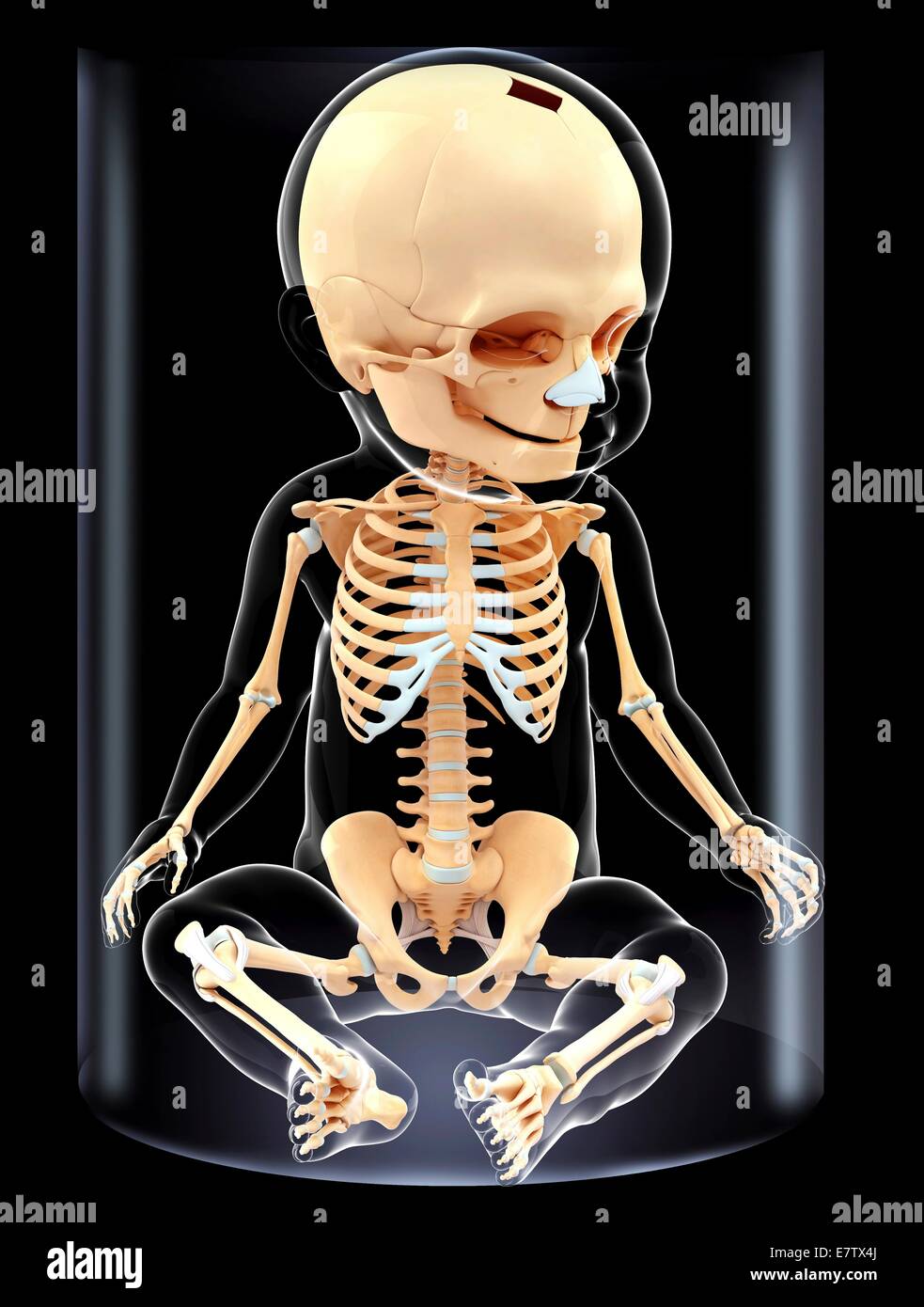 Baby's skeleton computer artwork hi-res stock photography and