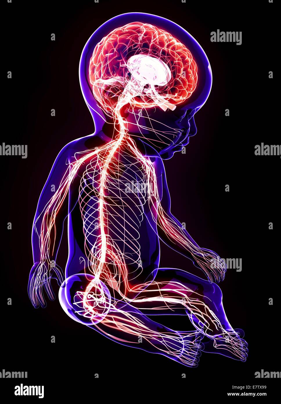 Патологии нервной системы у детей. У ребенка повышенная нервная система. У ребенка повышенная нервная система. Состояние центральной нервной системы. У ребенка повышенная нервная система.