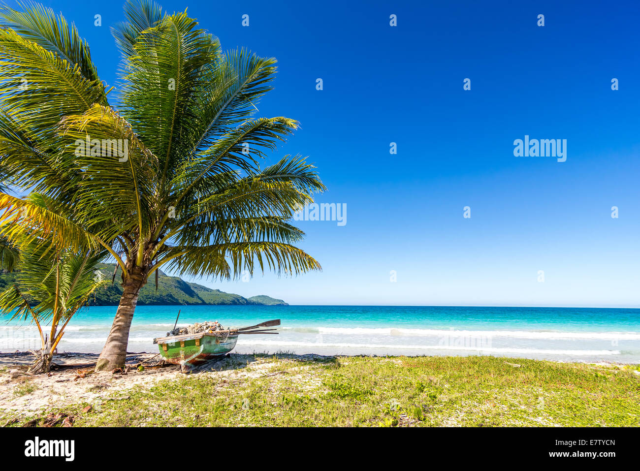 Boat by palm tree on one of the most beautiful tropical beaches in Caribbean, Playa Rincon, near Las Galeras, Dominican Republic Stock Photo