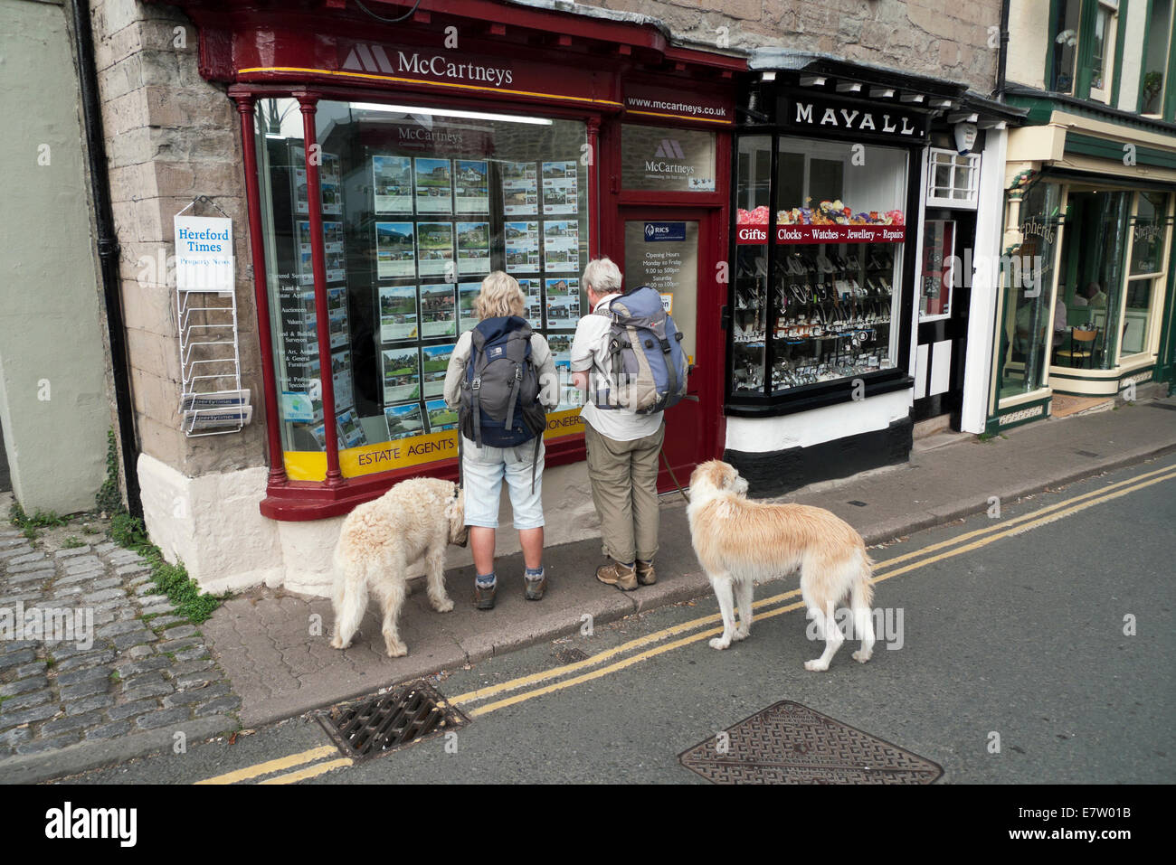 Rear back view of two older women seniors with rucksacks and dogs looking in an estate agent window in Hay-on-Wye Wales UK  KATHY DEWITT Stock Photo