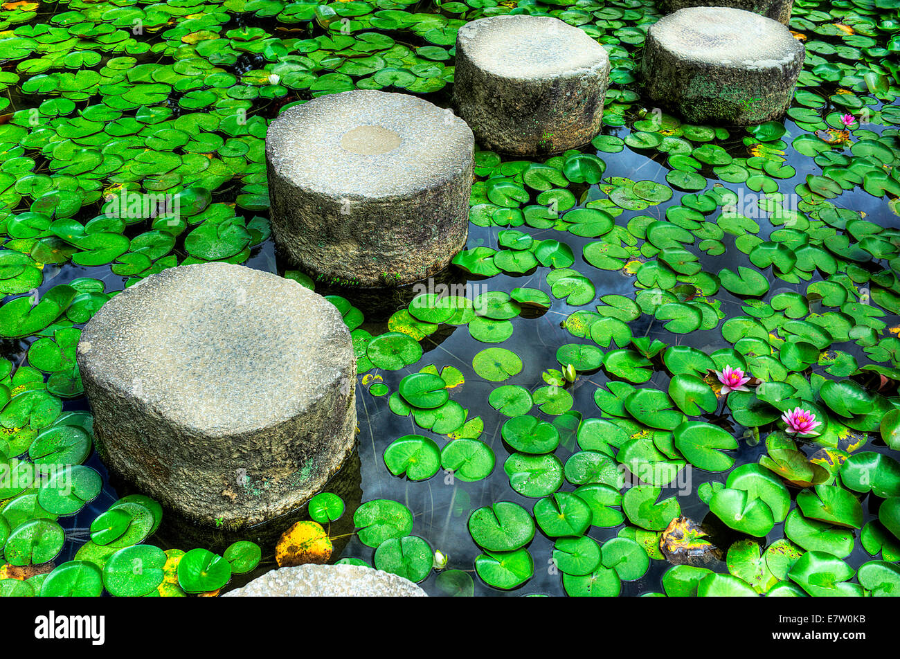 Japanese stepping stones hi-res stock photography and images - Alamy