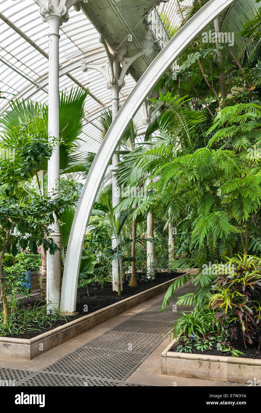 The Royal Botanic Gardens, Kew, London, UK. Inside the wrought iron and ...