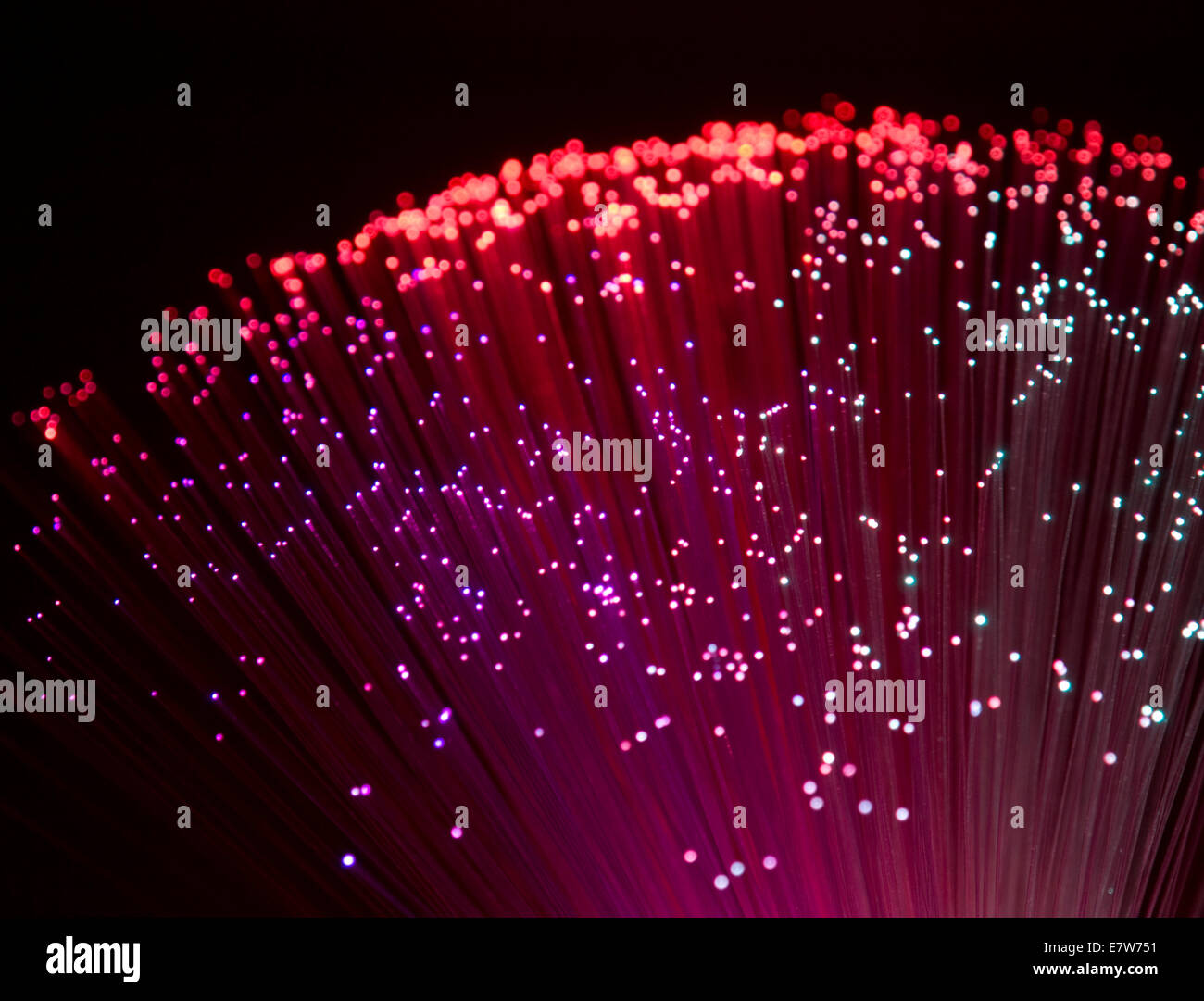 colorful illuminated plastic optical fibers in dark back Stock Photo