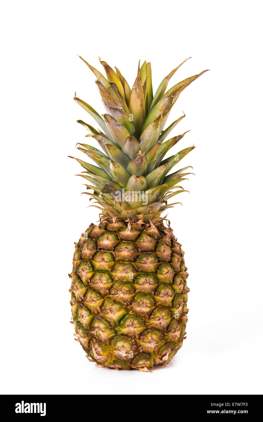 Green pineapple standing on isolated white background Stock Photo Alamy