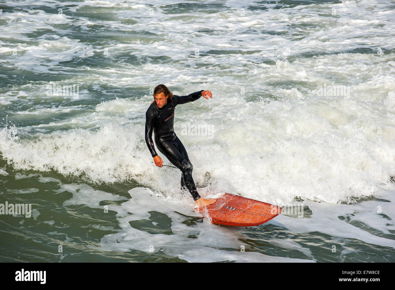 Surfer in black wetsuit riding wave on surfboard as it breaks at sea Stock Photo