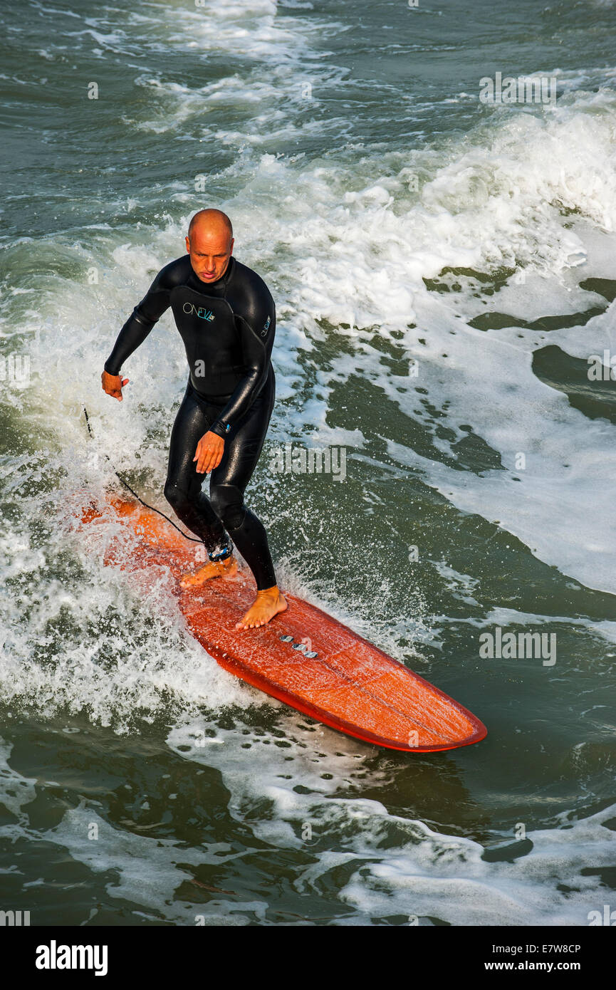 Middle-aged surfer in wetsuit riding a wave on surfboard on the North Sea Stock Photo