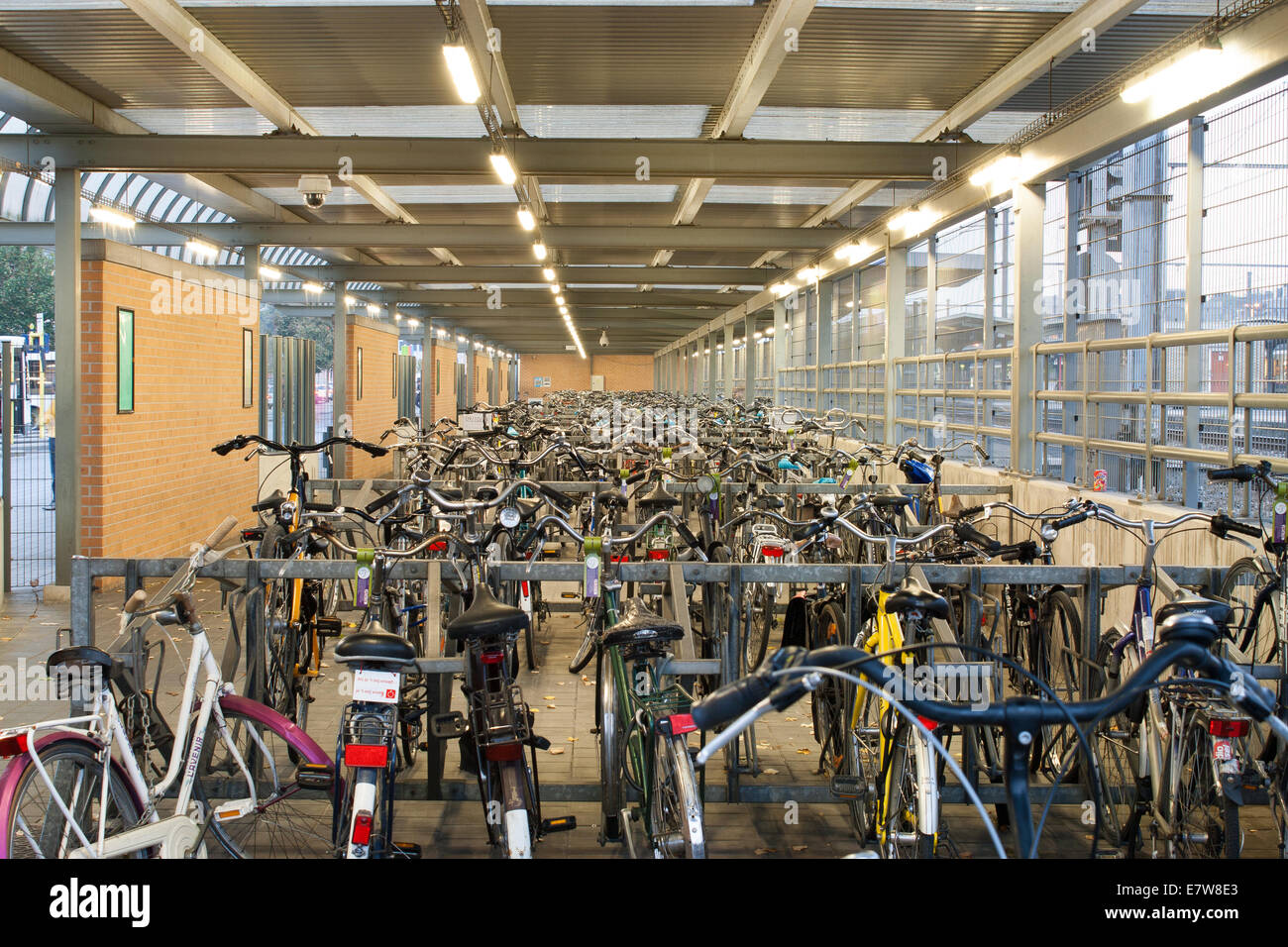 Abandoned bicycles lot parking Stock Photo