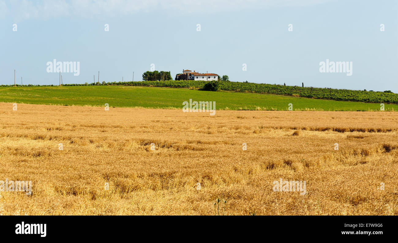Typical Italian landscape in Tuscany Stock Photo