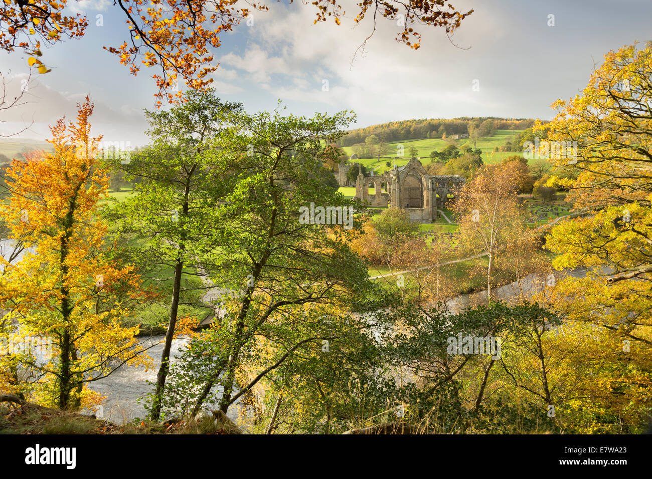 Strid wood bolton abbey hires stock photography and images Alamy