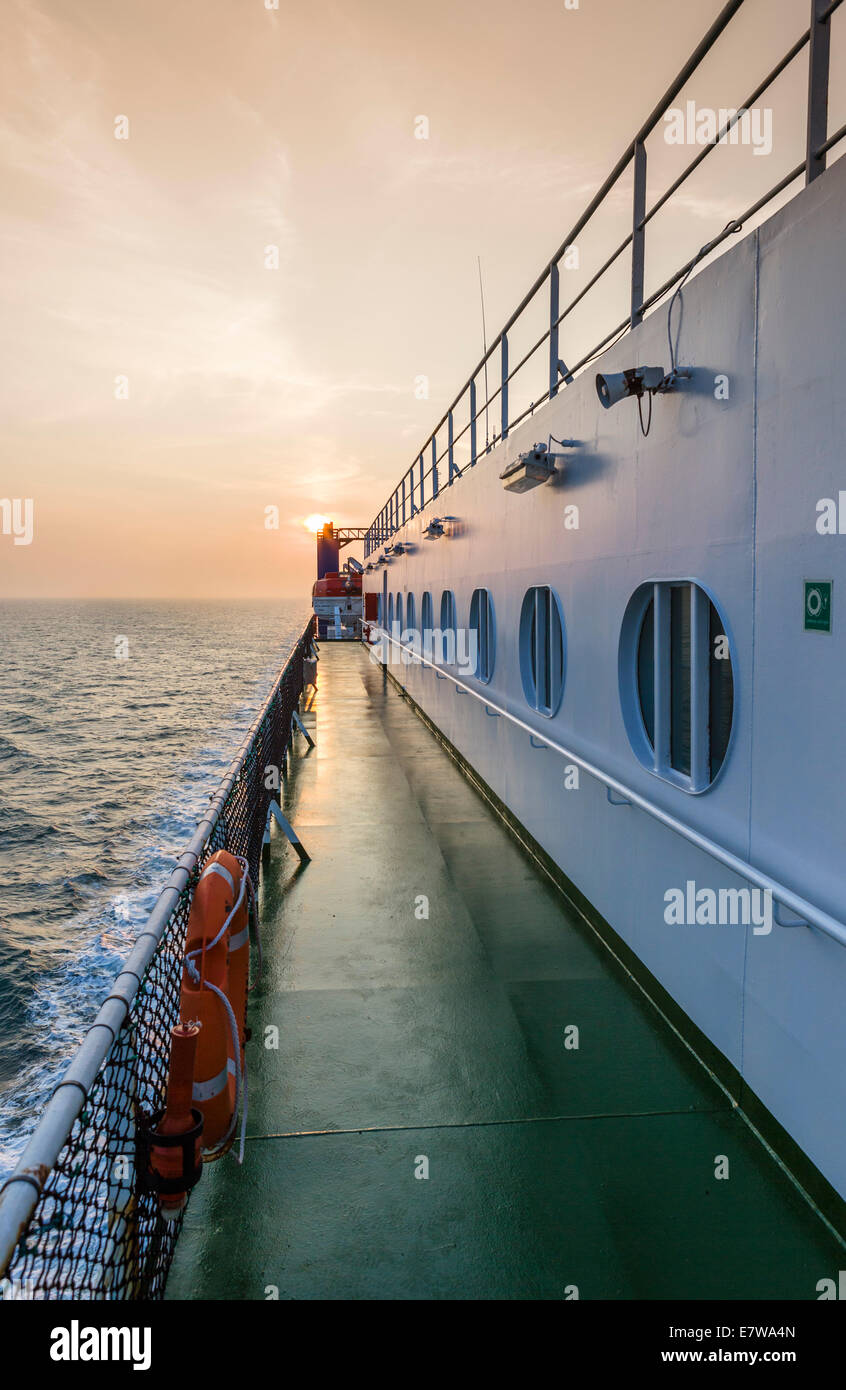 can you take dogs on the irish ferry