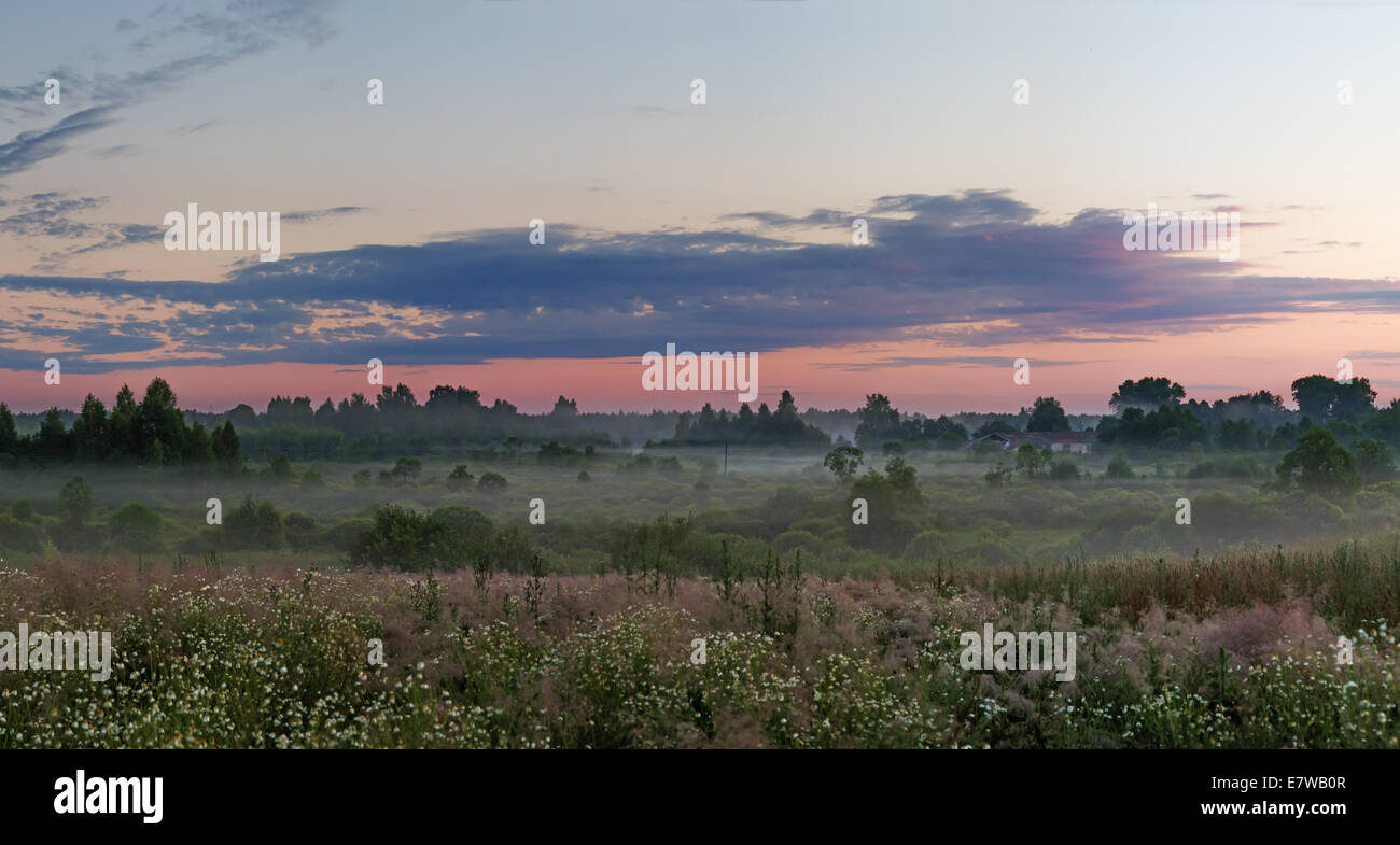 Sunset fog over field and forest Stock Photo - Alamy