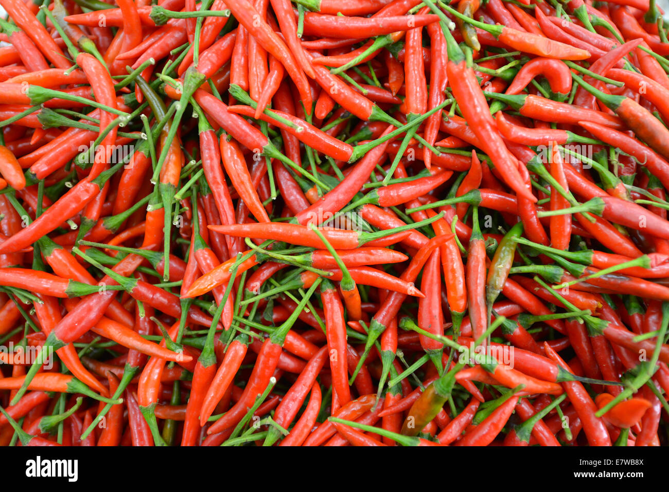 Selling red chillies hi-res stock photography and images - Alamy