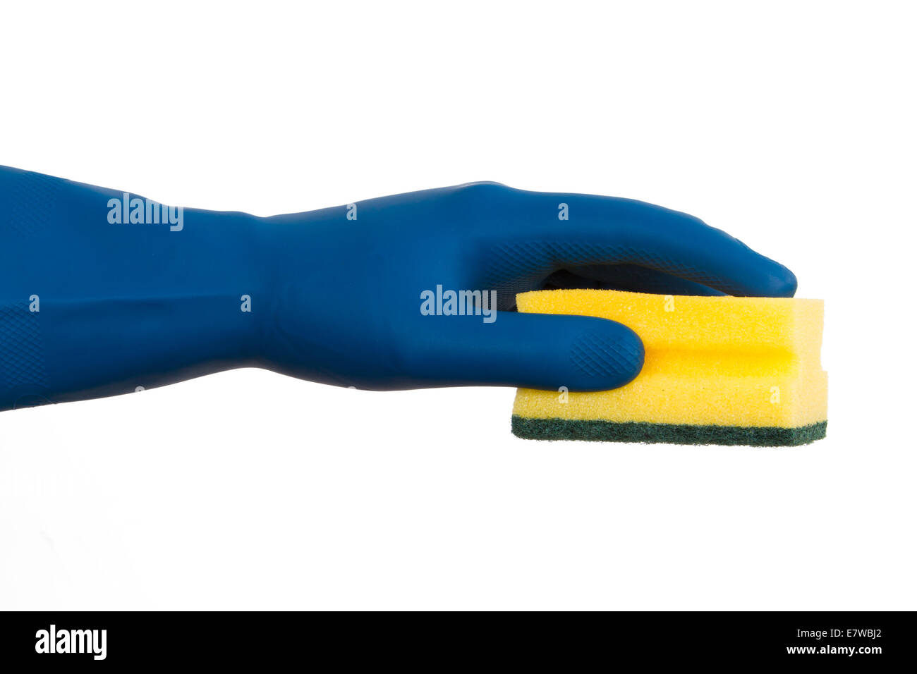 Hand in glove holding sponge, isolated on white background Stock Photo ...