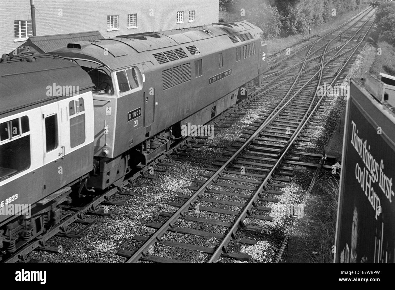diesel locomotive class 52 number d1000 western enterprise at paignton england in 1972 Stock Photo