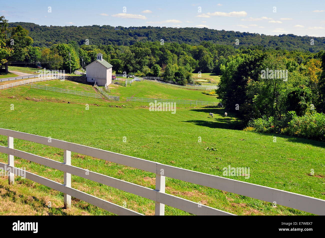 New Preston, Connecticut: View over rolling farmlands with white wooden fences   * Stock Photo