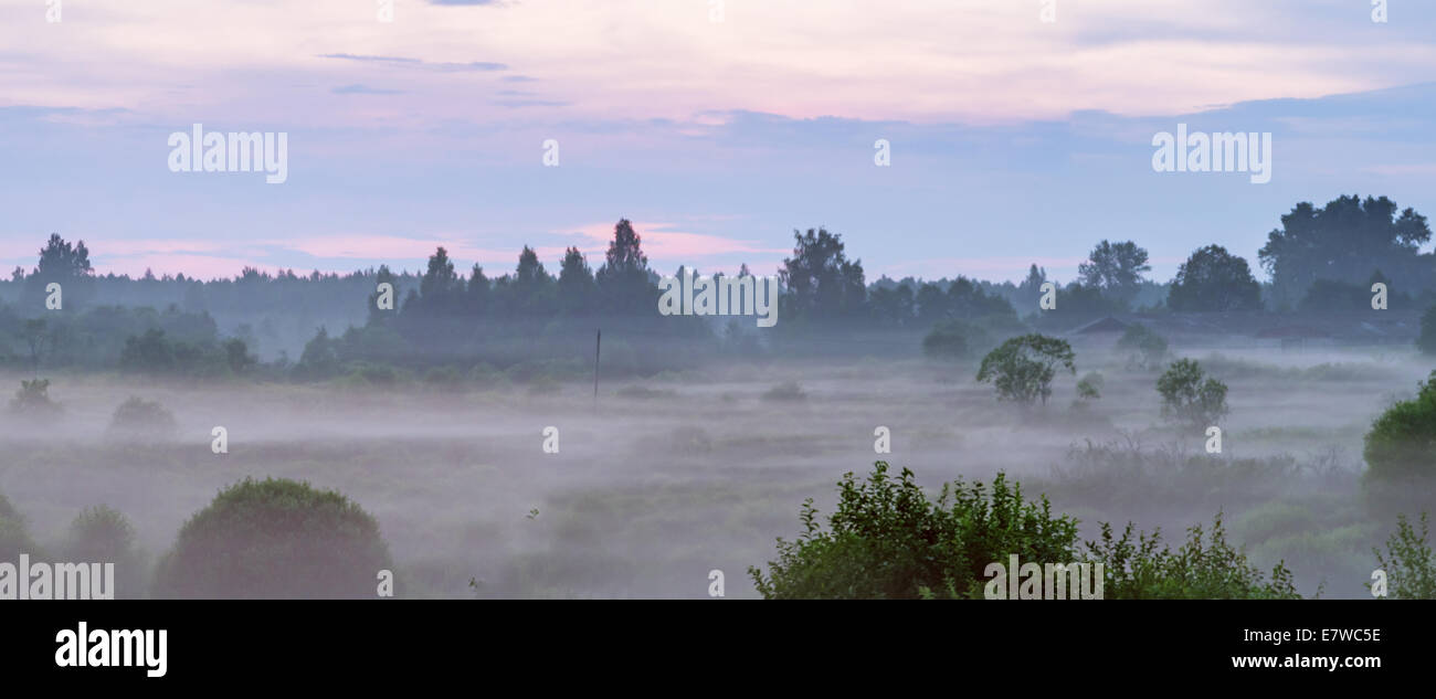 Sunset fog over field and forest Stock Photo - Alamy