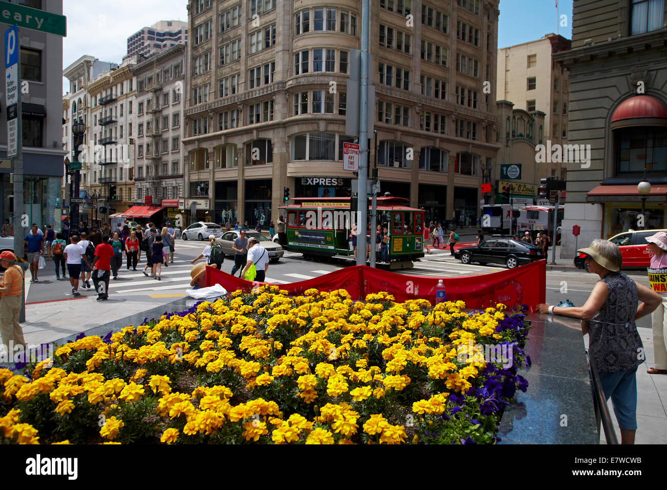 flower garden and cable car, union square, san francisco, california