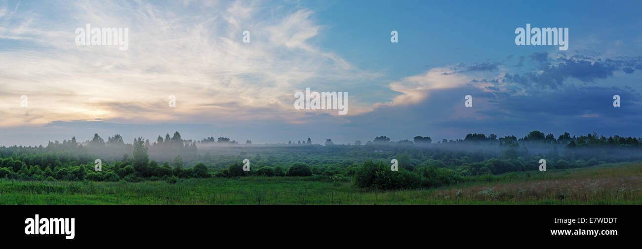 Sunset fog over field and forest Stock Photo - Alamy