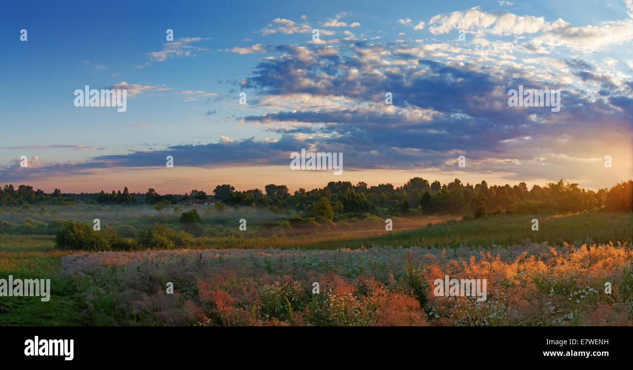 Sunrise over field and forest Stock Photo - Alamy