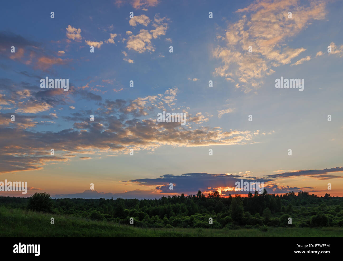 Sunset over field and forest Stock Photo - Alamy