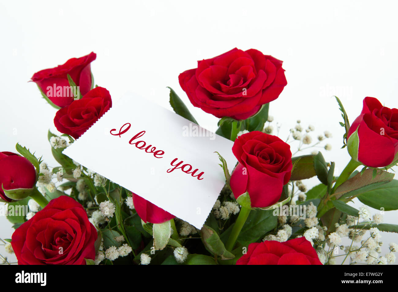 Red roses with gift card for text, isolated on white background Stock ...