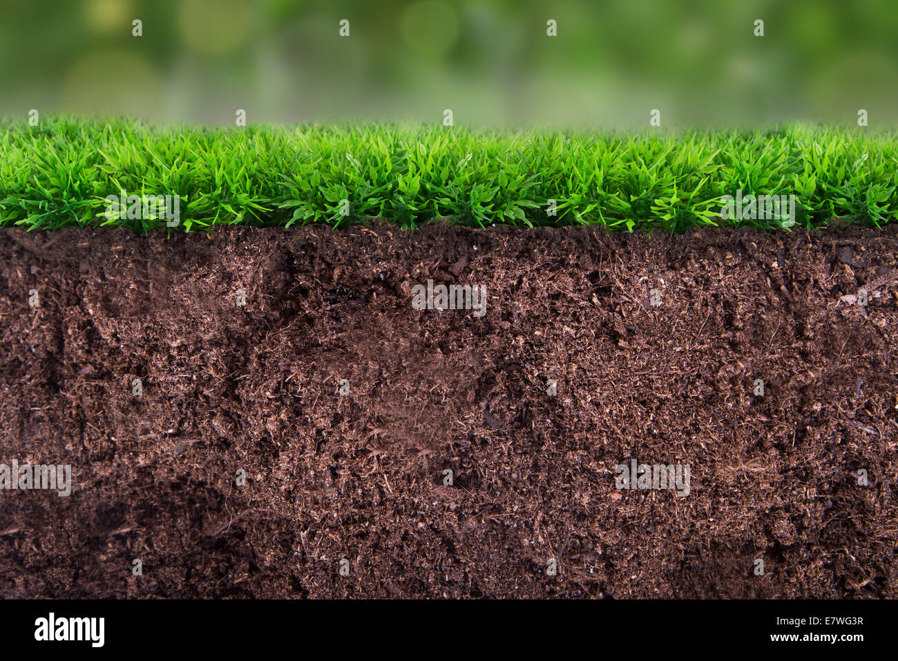 Dirty soil under green grass on blurry natural background Stock Photo