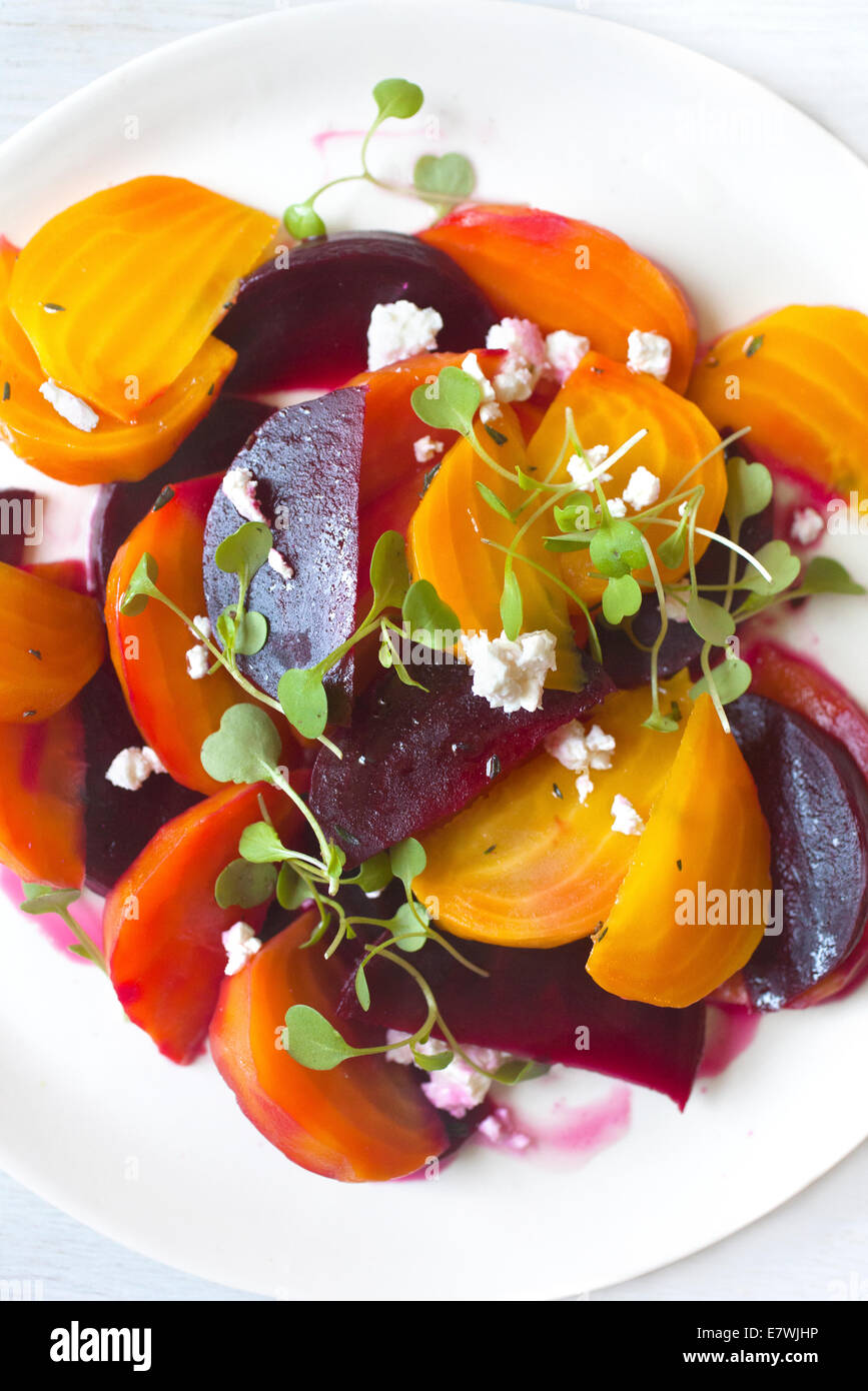 Colorful beet salad plated on white plate and backdrop. Stock Photo
