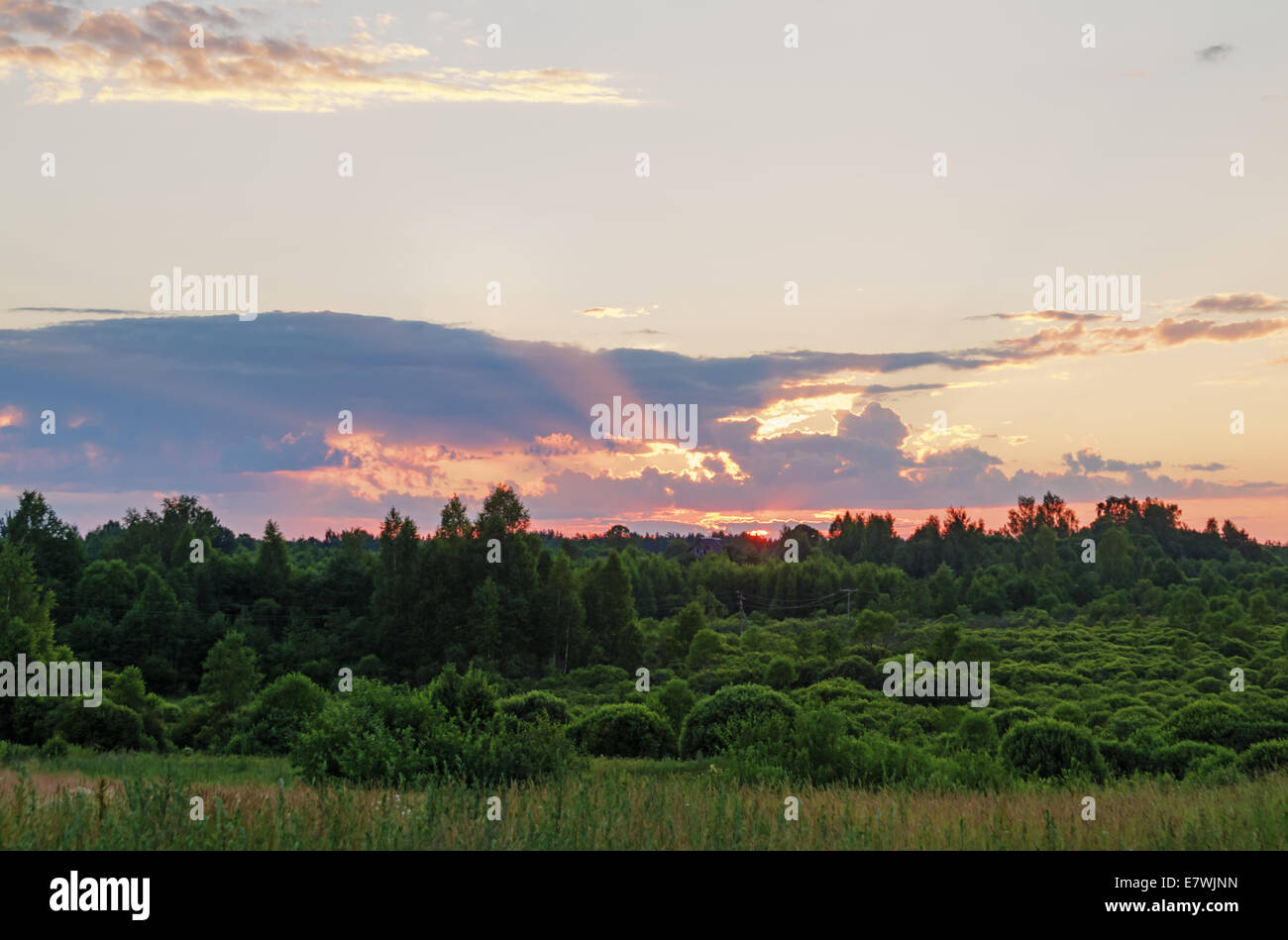 Sunset over field and forest Stock Photo - Alamy