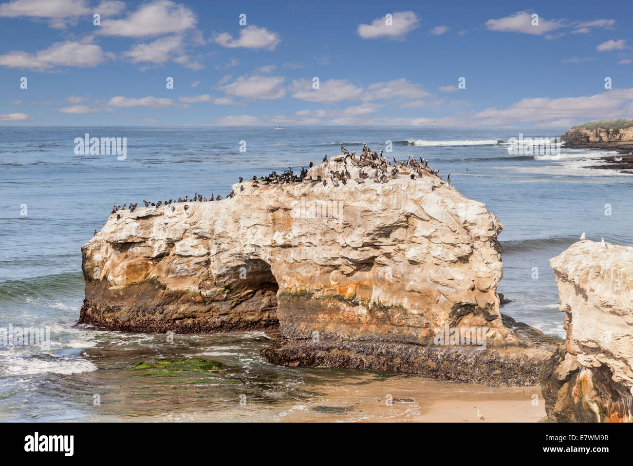 Natural Bridges State Park, Santa Cruz, California. Stock Photo