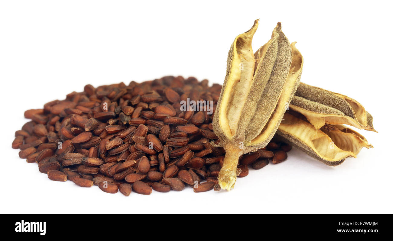 White sesame seeds texture hi-res stock photography and images - Alamy