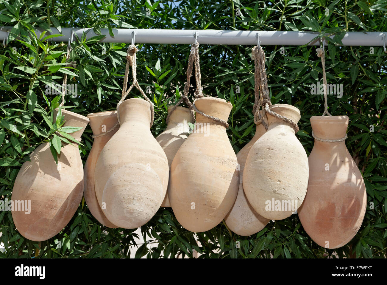 Clay jugs hanging in front of oleander shrubs, Nakhl Fort or Husn Al Heem, Al-Batinah province, Sultanate of Oman Stock Photo