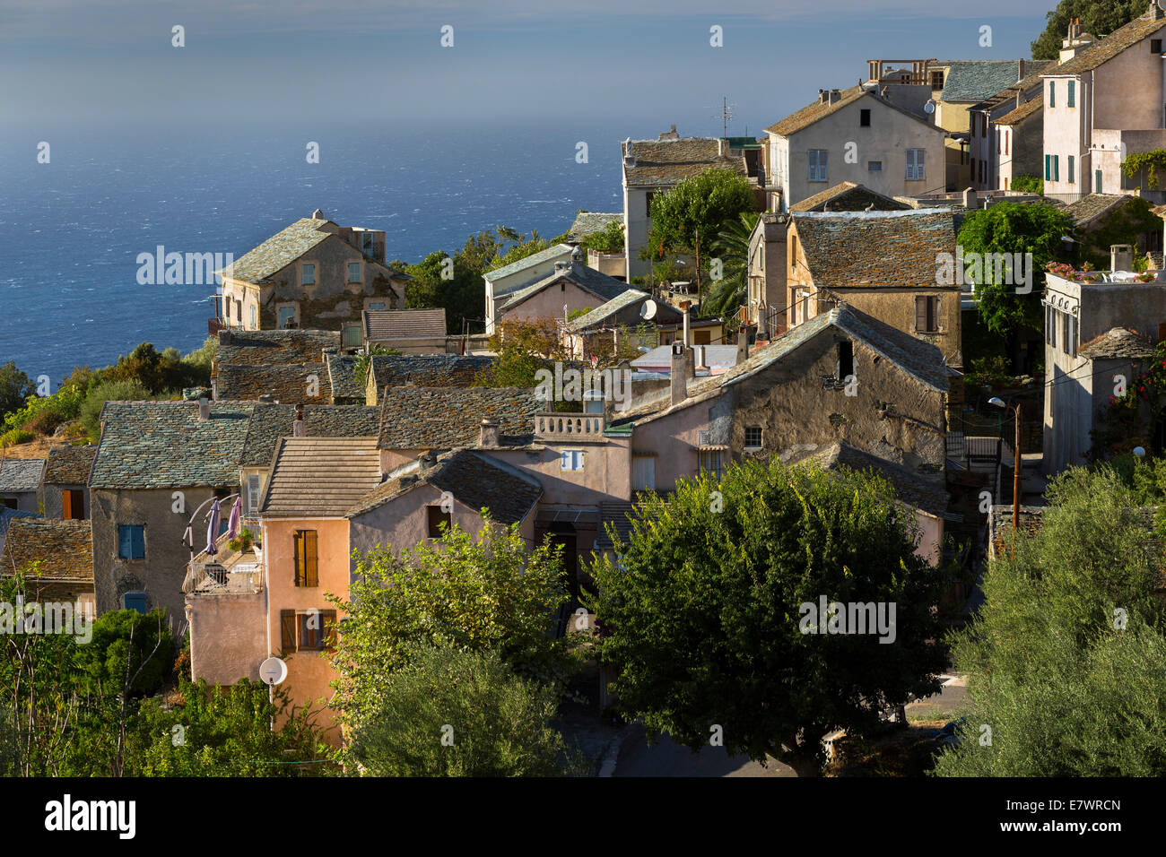 Canari haute corse hi-res stock photography and images - Alamy, image size:1300x956